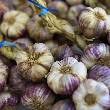 منزل ريفي Le Grand Paris La Maison De ديني-ليه-بان