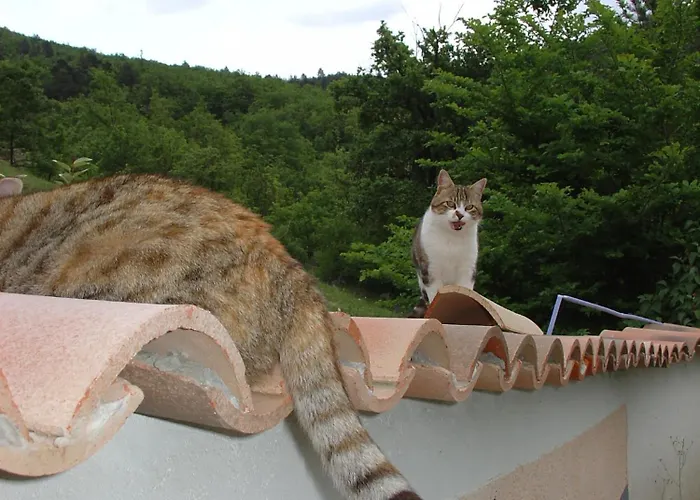 Le Grand Paris La Maison De Séjour à la campagne Digne-les-Bains