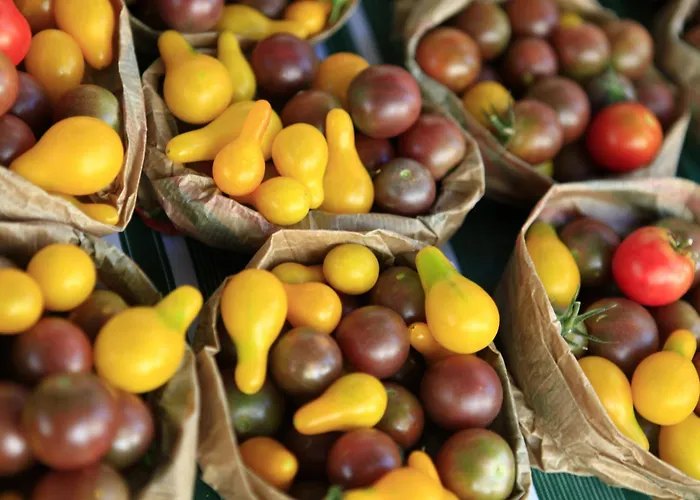 Le Grand Paris La Maison De Séjour à la campagne *